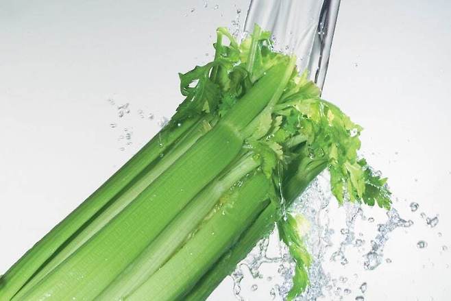 기사 특정내용과 무관. 게티이미지