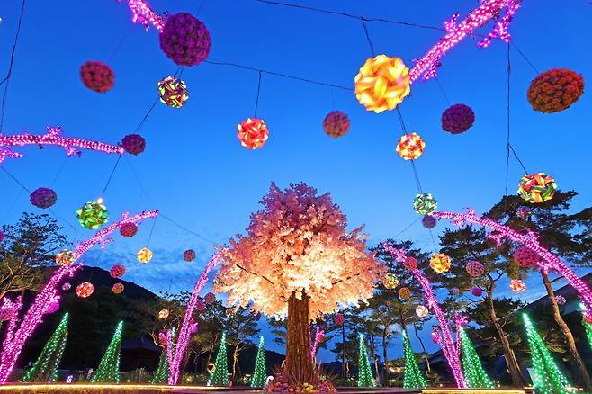 괴강불빛공원의 야경.   경관조명과 미디어파사드 등으로 화려하게 꾸몄는데, 전망대에 올라서면 별빛다리의 화려한 음악쇼가 보인다                     사진제공｜괴산군