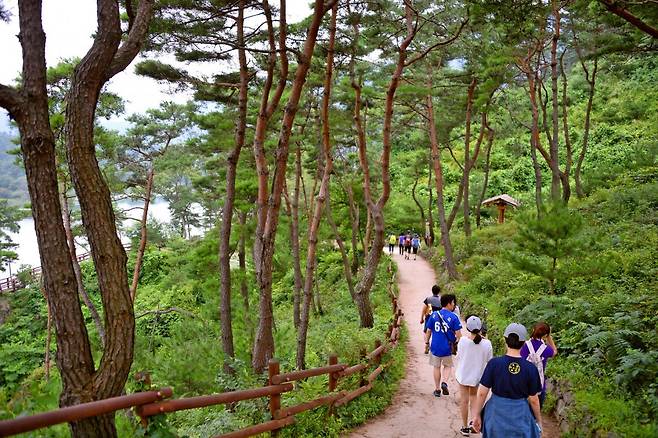 괴산 산막이옛길.  괴산호와 군자산 절경을 옆으로 보면서 이어지는 산속 오솔길로 7km, 편도 2시간30분 정도 걸린다       사진제공｜지엔씨이십일