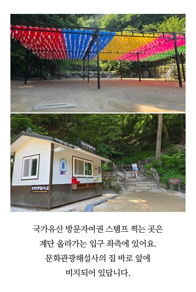 방문자 여권 투어 후기 글 [네이버 블로그 캡처. DB 및 재판매 금지]