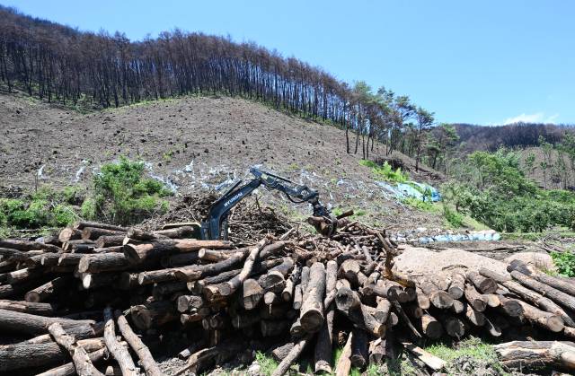 26일 오후 산청군 시천면 중태마을에서 관계자들이 중장비로 불에 탄 나무를 정리하고 있다./김승권 기자/