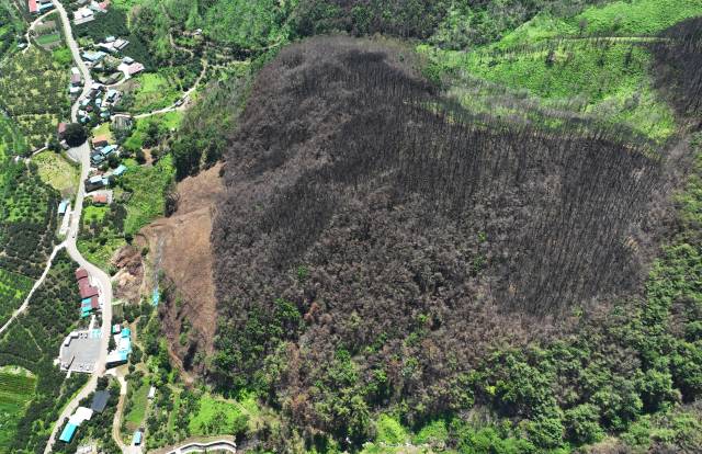 26일 오후 산청군 시천면 중태마을의 산림이 지난 3월 21일 발생한 산불로 시커멓게 탄 채 그대로 남아 있다. 주민들은 장마와 태풍으로 인한 산사태 발생을 우려하고 있다./김승권 기자/