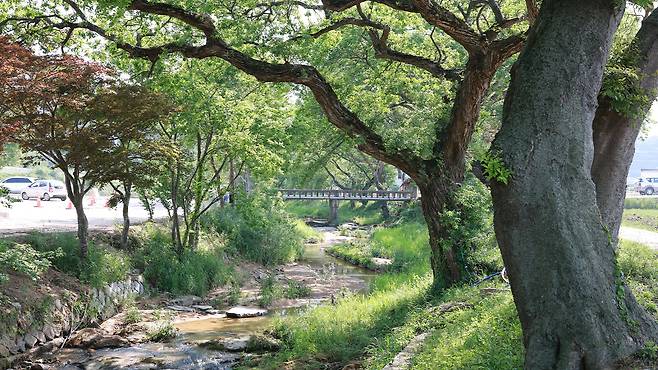 사진출처 : 고창군 제공