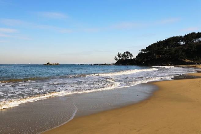 비브리오 패혈증은 세균성 감염질환으로 피부 연조직 감염과 급성 패혈증을 일으키는 3급 법정 감염병이다. 주로 어패류를 날 것 혹은 덜 익힌 상태로 먹거나 바닷물에 있던 균이 피부의 상처를 통해 인체에 침투해 감염된다. 게티이미지
