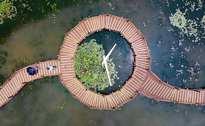 시계모양의 연못 데크길. 27일과 28일 저녁 8시부터 문화해설사의 안내와 함께 청사초롱을 들고 연꽃밭을 걷는 프로그램도 진행된다./김영근 기자