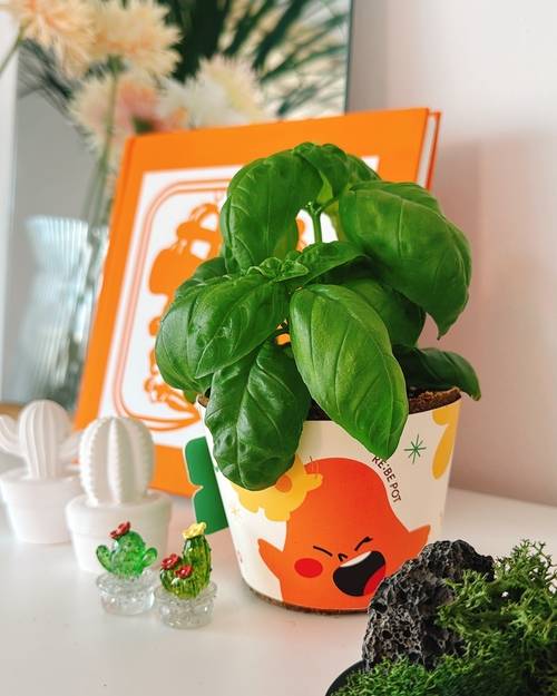 자연분해 성분 화분 ‘리비팟’