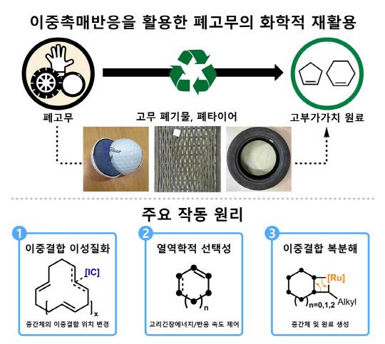 KAIST 화학과 홍순혁 교수 연구팀이 개발한 폐고무의 화학적 재활용 촉매 방법. KAIST 제공