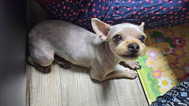 20250625_185036.jpg 저녁 숯불바베큐 치킨에 한잔