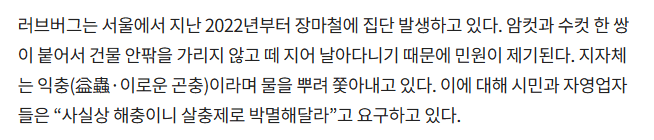 image.png ‘러브버그’ 지자체 “익충, 물 뿌려 쫓아” vs 시민 “사실상 해충, 박멸해야”