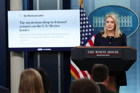 미국 백악관 대변인 캐롤라인 레빗이 지난 3일(현지시간) 워싱턴 D.C. 백악관에서 기자 브리핑을 하고 있다. 로이터=연합뉴스