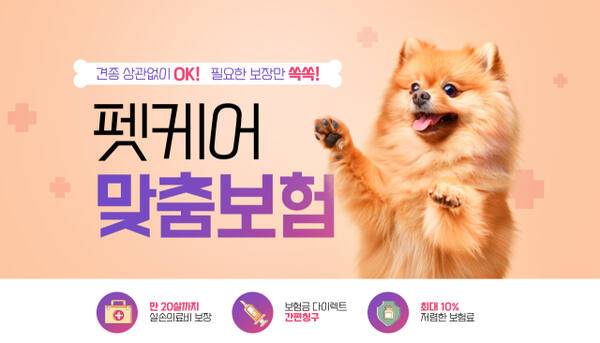 기사의 이해를 돕기 위한 자료 이미지로 직접적 연관은 없습니다. 이미지투데이