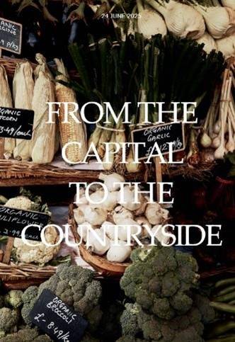 30주년을 맞은 비스터 빌리지가 자체 매체와 여행 코스 추천 서비스를 선보인다. / 사진=비스터 빌리지