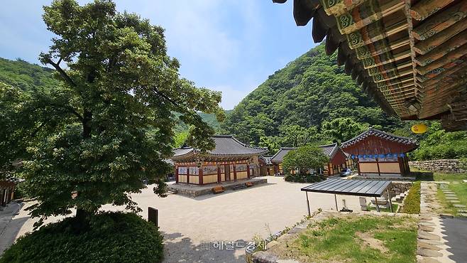 경북 포항시 오어사 전경