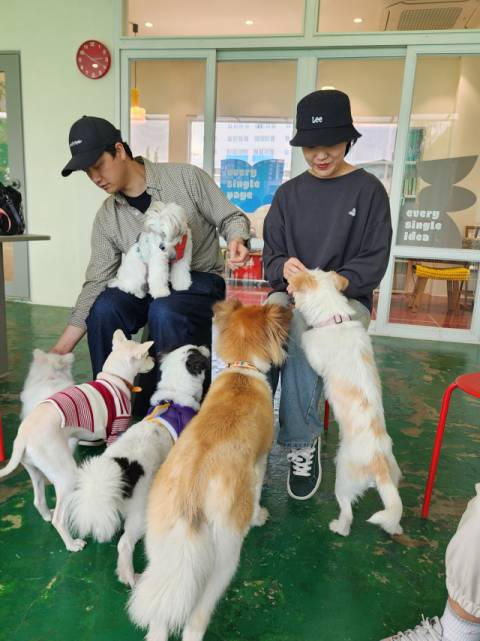 반려인들 가운데는 임보를 하다 입양으로 넘어가는 경우도 있다.