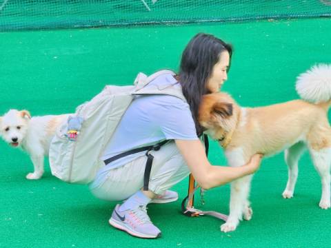 사람들은 품종견을 선호하지만 믹스견이 키우기에 쉽다.