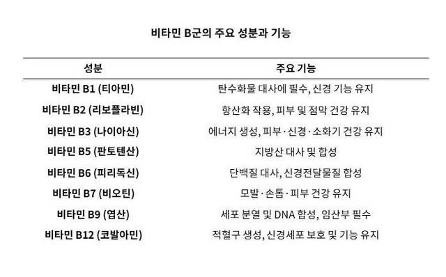 비타민 B군의 주요 성분과 기능｜출처: 하이닥