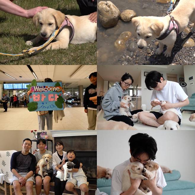 ‘TV동물농장’ (제공: SBS)