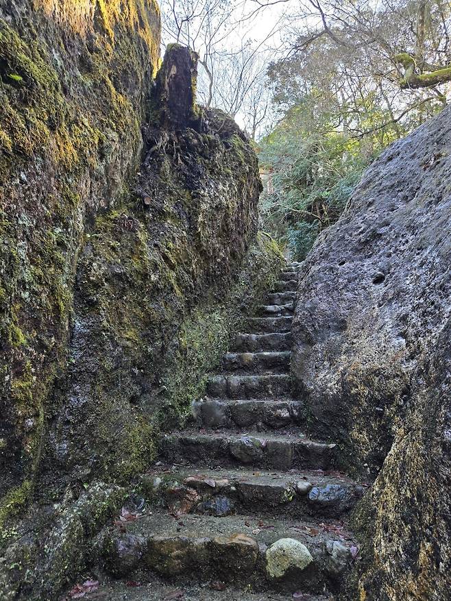 20250121_122654.jpg 일본 랜트카 여행 59일 36일차 후쿠이