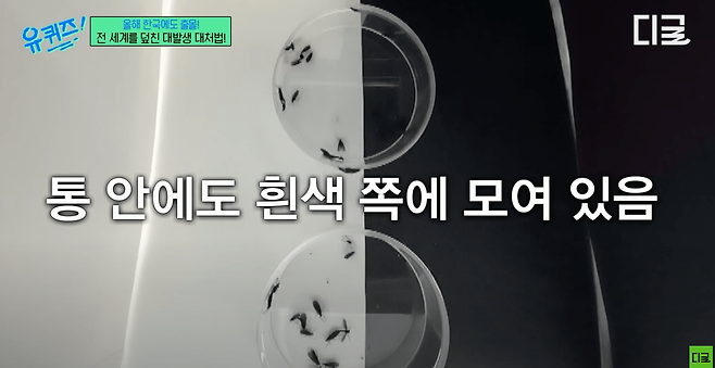 Screenshot 2025-06-27 at 6.35.45 PM.png 러브버그 피하는 법