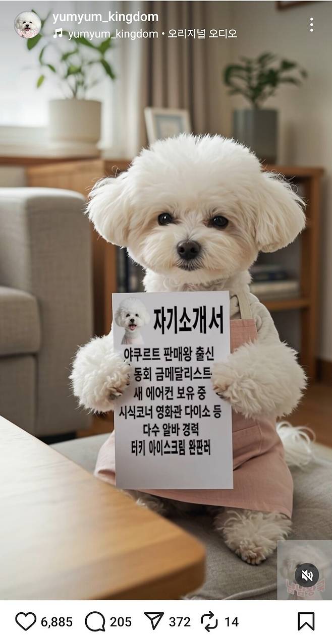 ‘에이아이 캐릭터’인 견종 비숑 프리제 ‘냠냠이’가 집 안 정리를 하고 있다. 아이를 둔 부모들의 큰 응원을 얻으며 인기 상승 중인 캐릭터다. 장선희 제공