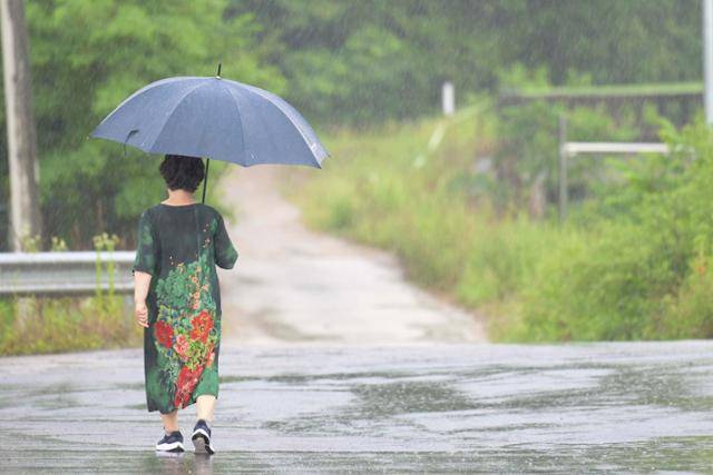 삼풍백화점 참사 미수습자 가족인 홍영희씨가 20일 강원도 춘천시 자택 인근을 걷고 있다. 강예진 기자