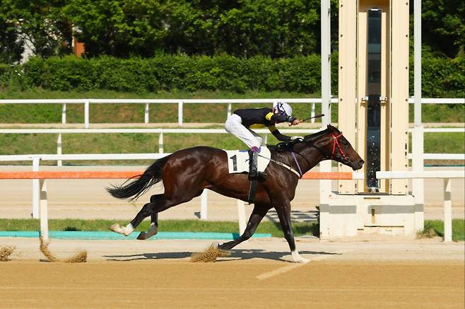 원평스톰. 사진=한국마사회