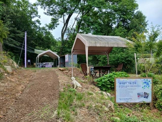 ▲ 채향원 놀이시설과 야외 바베큐장. 모든 시설을 무료로 이용할 수 있지만 다음 방문객을 위해 설거지와 청소는 이용자가 깨끗하게 마무리해야 한다.