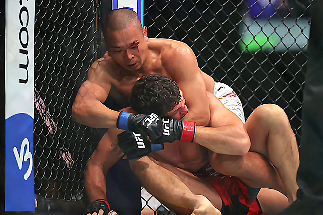 박준용이 2025년 6월 아제르바이잔 바쿠 크리스털 홀 UFC on ABC 8 제5경기 찢어진 눈 위에서 피가 나오는데도 이스마일 나우르디예프한테 맨손조르기를 시도하고 있다. 사진=Getty Images=연합뉴스 제공