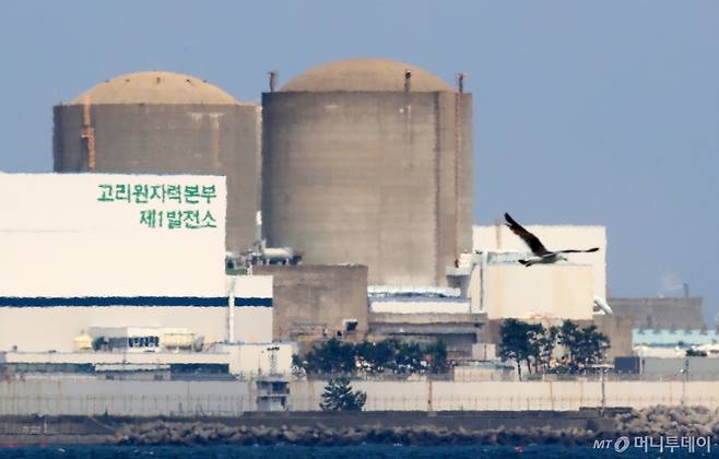 (부산=뉴스1) 윤일지 기자 = 원자력안전위원회가 26일 본회의를 열고 국내 첫 상업 원자력발전소 '고리 1호기' 해체 승인 여부를 결정한다. 고리 1호기는 587메가와트(MWe)급으로, 지난 1978년 4월 29일 국내에서 처음으로 상업운전을 시작한 원전이다. 원안위가 해체 승인을 의결하면 고리 1호기는 지난 2017년 6월 영구 정지된 이후 8년 만에 국내 최초로 해체 작업에 들어가게 된다. 지난 1972년 건설허가 이후로는 53년 만이다. 사진은 이날 부산 기장군 장안읍 고리 1호기(오른쪽) 모습. 2025.6.26/뉴스1 Copyright (C) 뉴스1. All rights reserved. 무단 전재 및 재배포, AI학습 이용 금지. /사진=(부산=뉴스1) 윤일지 기자