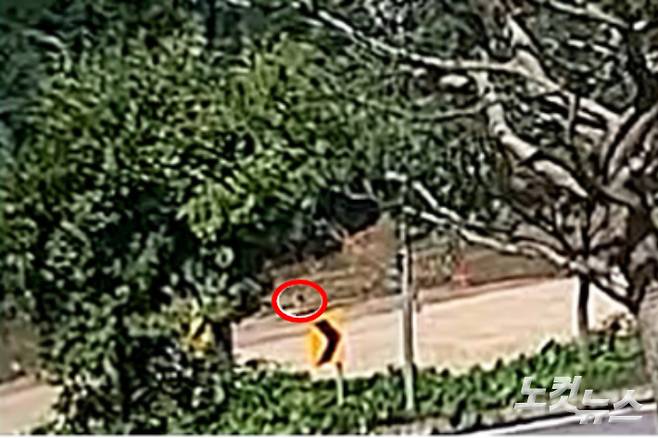 고(故) 채수근 상병의 2년 전 사고 상황이 담긴 영상을 CBS노컷뉴스가 최초로 입수했다. 채상병으로 보이는 한 해병대원(빨간색 원)이 급류에 휩쓸리는 듯한 모습이 목격된다.