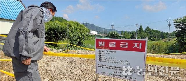 충북 청주시농업기술센터 관계자가 서원구 남이면의 한 폐원을 살펴보고 있다. 1496㎡(453평) 규모의 이 밭은 5월22일 과수화상병 확진 판정을 받고 사과나무 400여그루를 모두 뽑아내 그 자리에 묻었다.