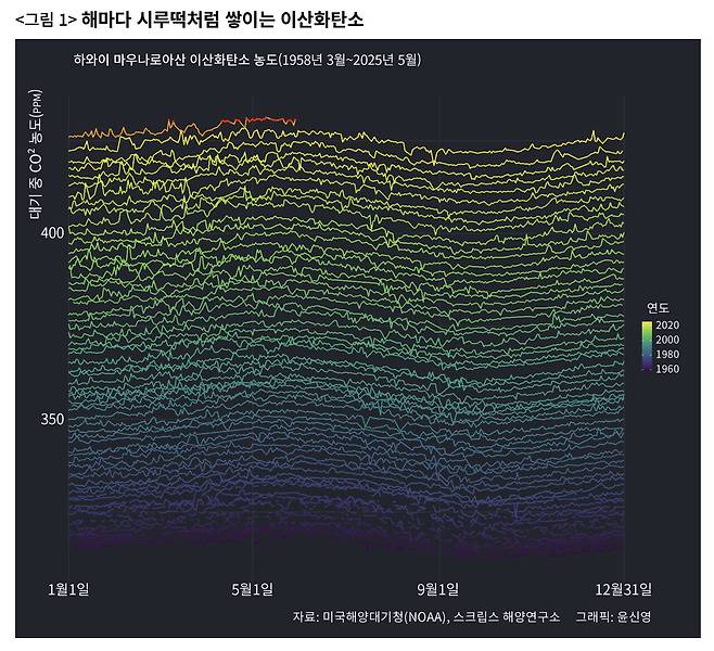 지난 50년간 이산화탄소 농도는 마치 시루떡이나 지층처럼 차곡차곡 위로 쌓이는 형태로 그려진다. ⓒ윤신영