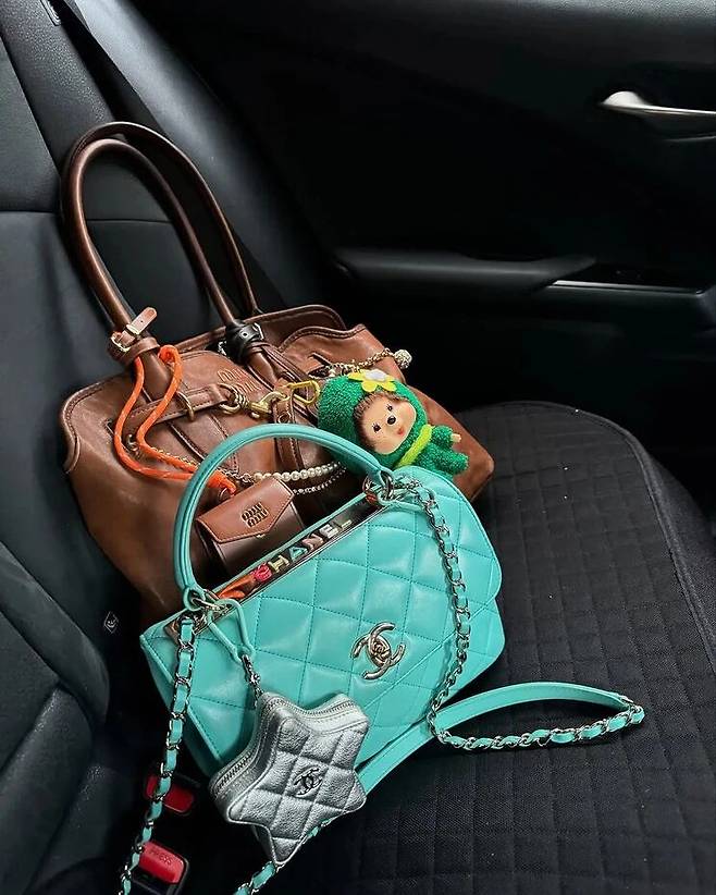 미우 미우 백에 장식된 몬치치. @polliani