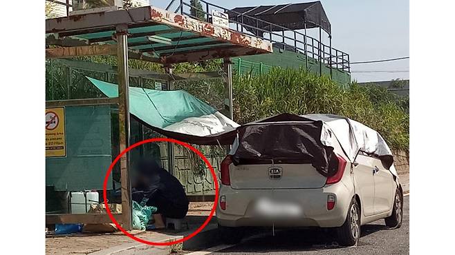 한 여성이 버스정류장에 천막을 치고 앉아 있는 모습 (사진, 보배드림)