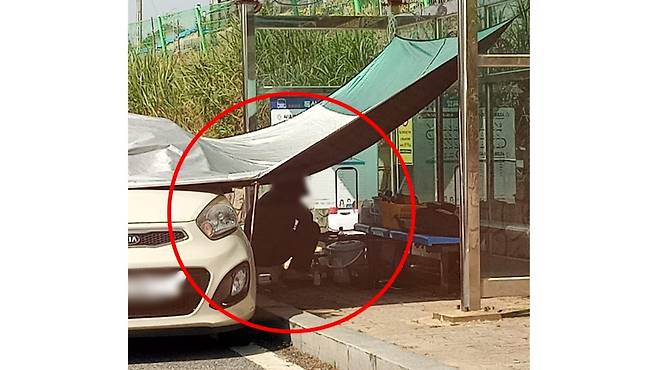 한 여성이 버스정류장에 천막을 치고 앉아 있는 모습 (사진, 보배드림)