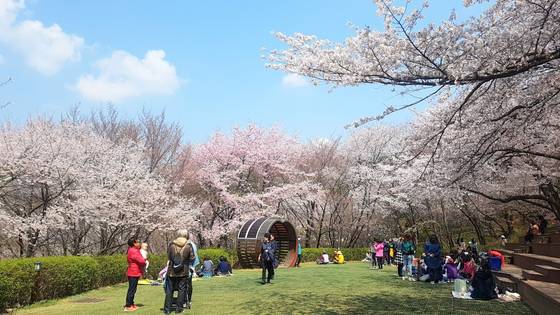 서울 서대문구가 안산 잔디마당을 숲속 공공예식장으로 개방한다. [사진 서대문구]