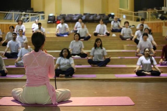 ▲ 남이섬 요가체험 프로그램 모습.