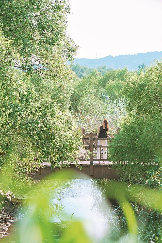 용안생태습지공원(사진=익산시청)