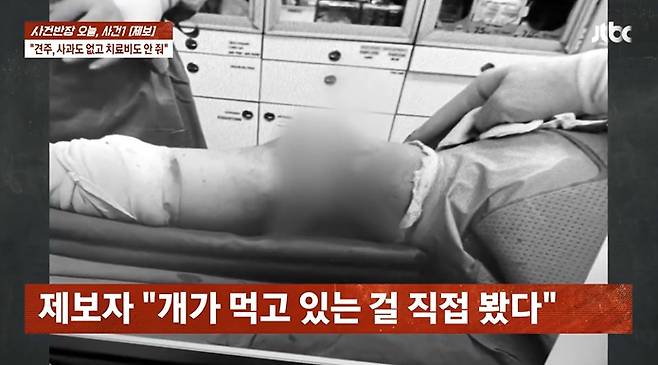 카센터에서 대형견에게 물려 전치 6주 진단을 받은 피해자 측이 개가 떨어진 살점을 먹는 모습을 직접 봤다고 주장했다. /사진=JTBC '사건반장' 방송 화면