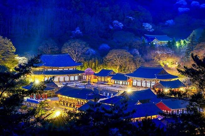 화엄사 야간 풍경.