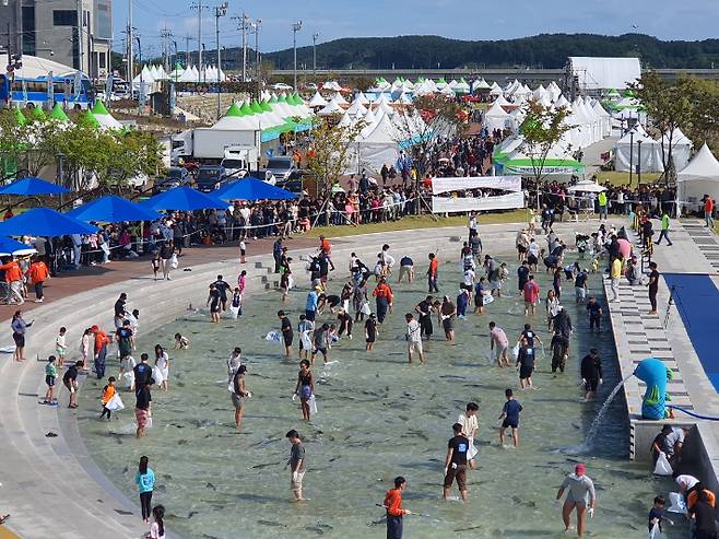 양양 송이·연어 축제 전경. 양양군 제공
