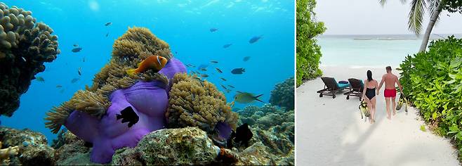 하우스 리프와 접근성이 뛰어난 벨리간두. 사진제공|팜투어