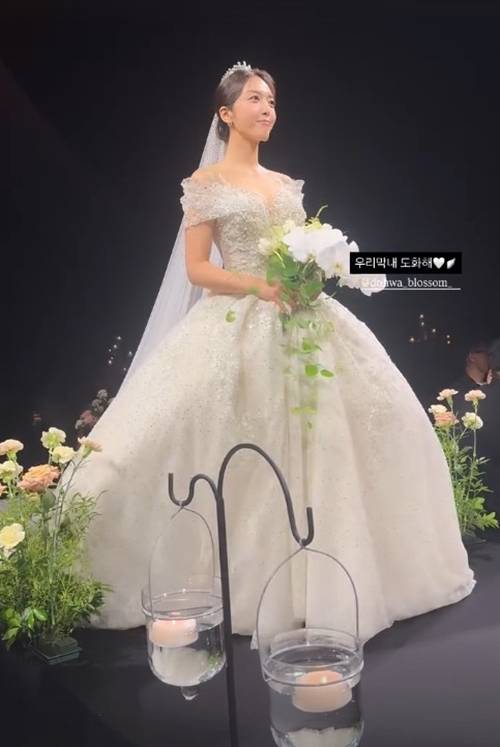 사진=AOA 지민 SNS