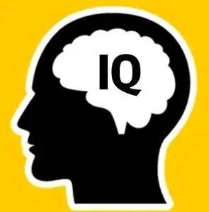 IQ 테스트 [바이두 화면 캡처. 재판매 및 DB 금지]