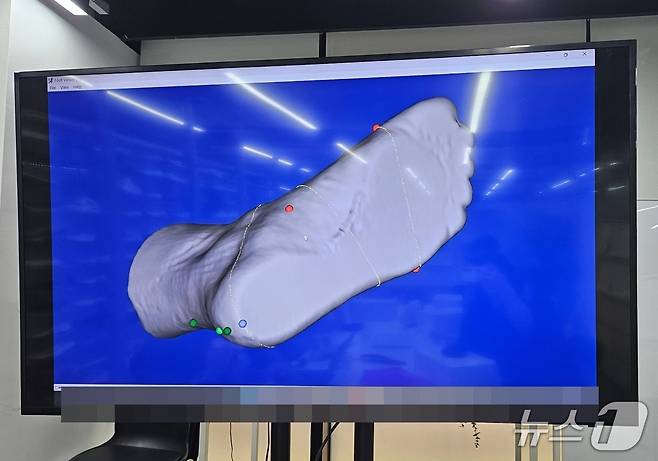 3D 스캐너를 통해 발 형상을 측정한 모습.ⓒ 뉴스1/김진희 기자.