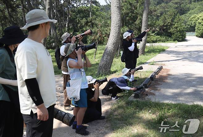 29일 울산 동구 대왕암 일대에서 짹짹휴게소 동호회 회원들이 파랑새를 발견하곤 카메라로 관찰하고 있다.2025.6.29/뉴스1 ⓒNews1 김지혜 기자