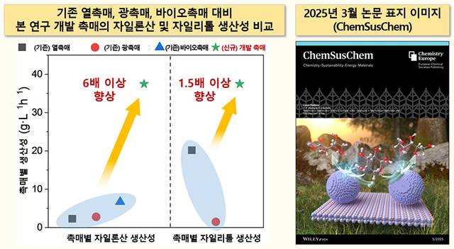 기존 촉매 대비 개발된 촉매의 자일론산 및 자일리톨 생산성 비교 및 논문 표지 이미지 화학연 제공
