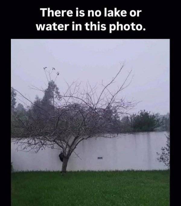 m_20250313142940_r90nXbrO44.jpeg 이 사진에는 호수와 물은 없습니다.