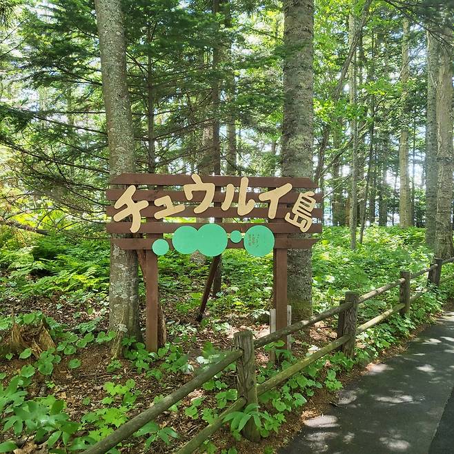 20250617_104632.jpg 홋카이도 7박 8일 골든 카무이 여행기 -2-