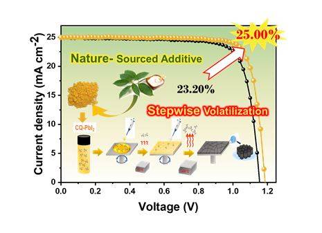 UNIST 연구팀이 녹나무 유래 물질의 단계적 승화 특성을 활용해 페로브스카이트 태양전지의 효율과 수명을 높였다. [사진=UNIST]